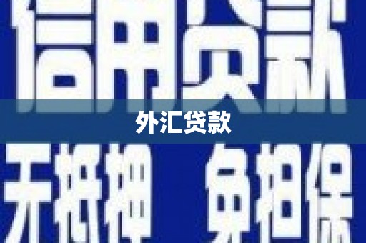 五峰外汇贷款