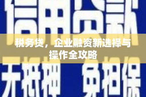 西岗税务贷，企业融资新选择与操作全攻略