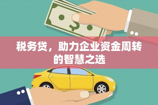 南宫税务贷，助力企业资金周转的智慧之选