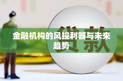 双河金融机构的风控利器与未来趋势
