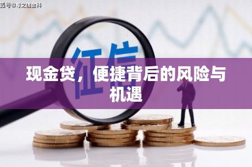 东区现金贷，便捷背后的风险与机遇