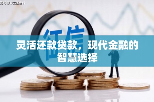 新泰灵活还款贷款，现代金融的智慧选择