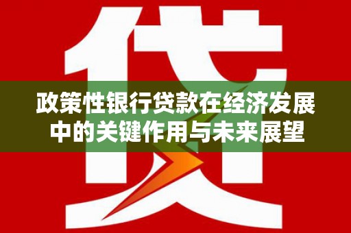 康县政策性银行贷款在经济发展中的关键作用与未来展望