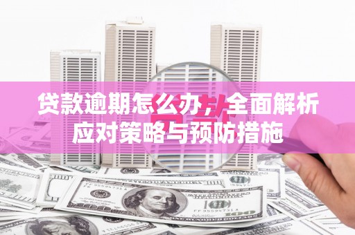 阳春贷款逾期怎么办，全面解析应对策略与预防措施