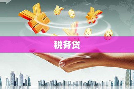 朱家尖税务贷