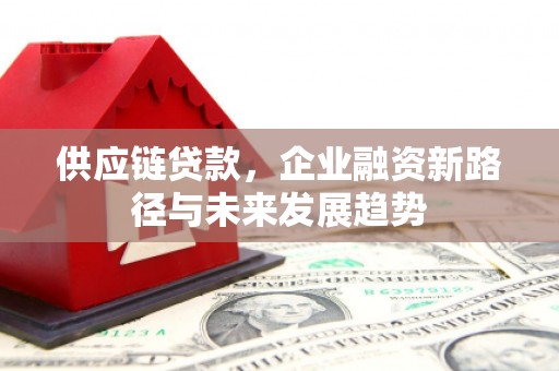 绥阳供应链贷款，企业融资新路径与未来发展趋势