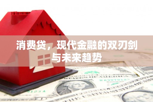 罗山消费贷，现代金融的双刃剑与未来趋势