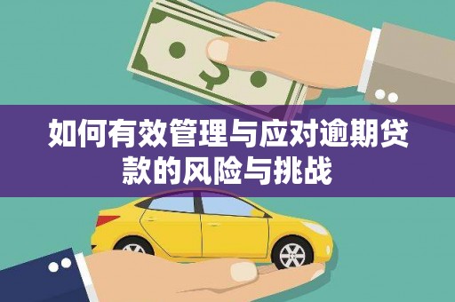 耀州如何有效管理与应对逾期贷款的风险与挑战