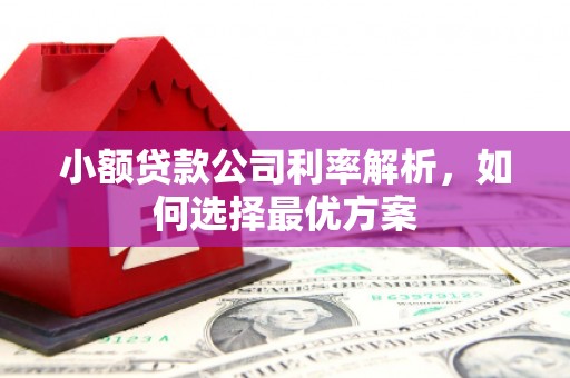 晋中小额贷款公司利率解析，如何选择最优方案