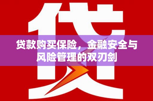 淮上贷款购买保险，金融安全与风险管理的双刃剑