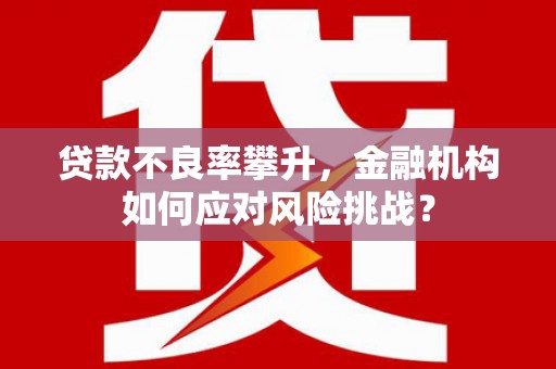 石鼓贷款不良率攀升，金融机构如何应对风险挑战？