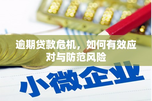 贾汪逾期贷款危机，如何有效应对与防范风险