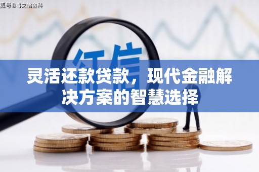 中国香港灵活还款贷款，现代金融解决方案的智慧选择