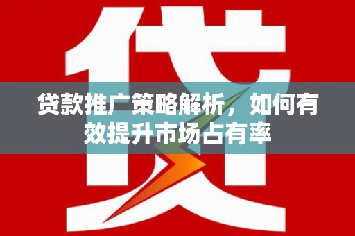 漳州贷款推广策略解析，如何有效提升市场占有率