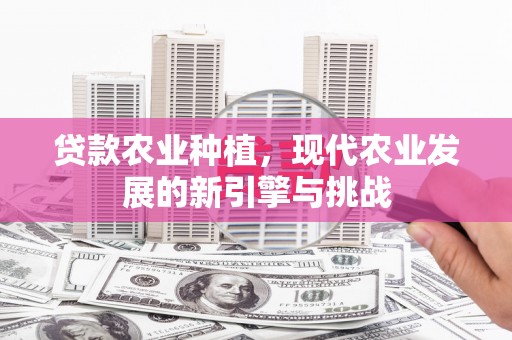 西屯贷款农业种植，现代农业发展的新引擎与挑战