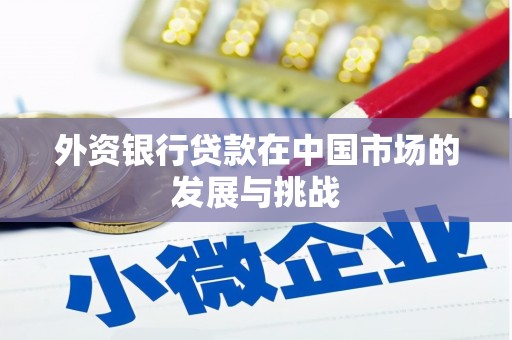 杭州外资银行贷款在中国市场的发展与挑战