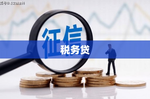 遂昌税务贷