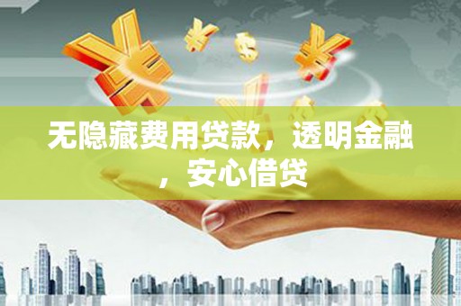 海南无隐藏费用贷款，透明金融，安心借贷