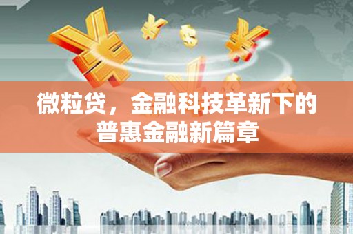 西林微粒贷，金融科技革新下的普惠金融新篇章