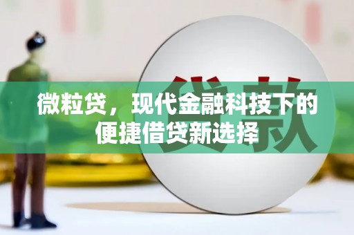大兴安岭微粒贷，现代金融科技下的便捷借贷新选择