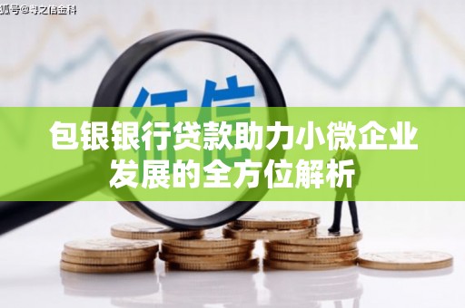 班戈包银银行贷款助力小微企业发展的全方位解析
