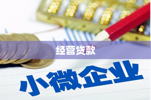 志丹经营贷款