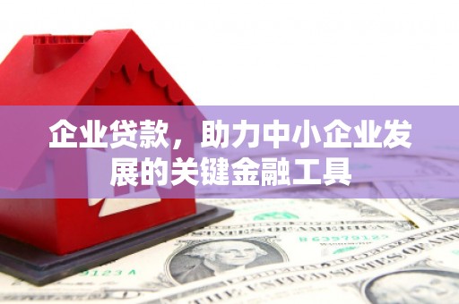 保亭企业贷款，助力中小企业发展的关键金融工具