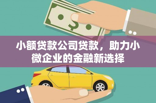 莎车小额贷款公司贷款，助力小微企业的金融新选择