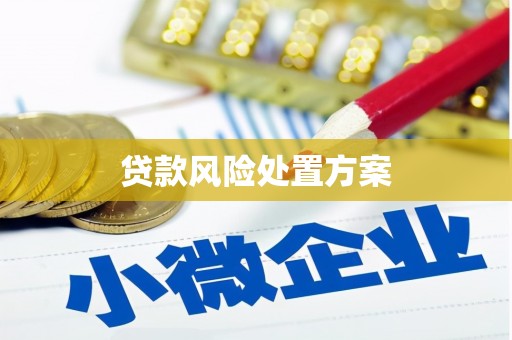 平度贷款风险处置方案