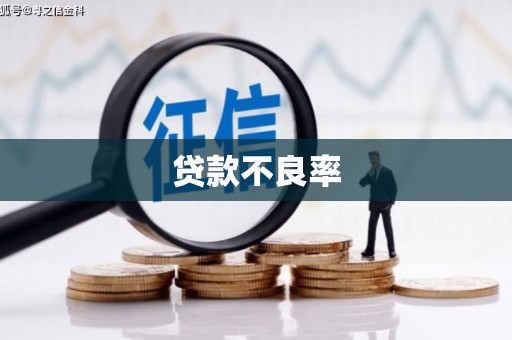 碑林贷款不良率