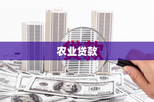 米东农业贷款