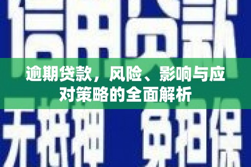 田阳逾期贷款，风险、影响与应对策略的全面解析