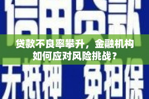 横县贷款不良率攀升，金融机构如何应对风险挑战？