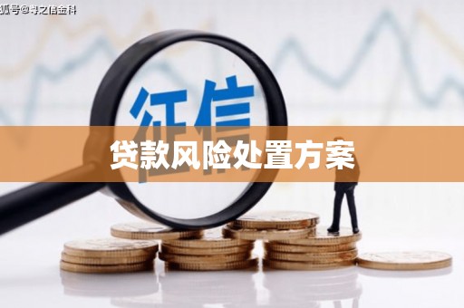 斗六贷款风险处置方案