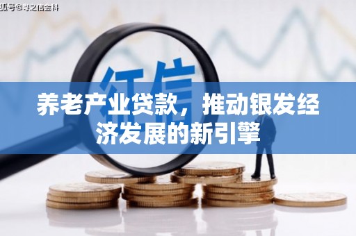 峨边养老产业贷款，推动银发经济发展的新引擎
