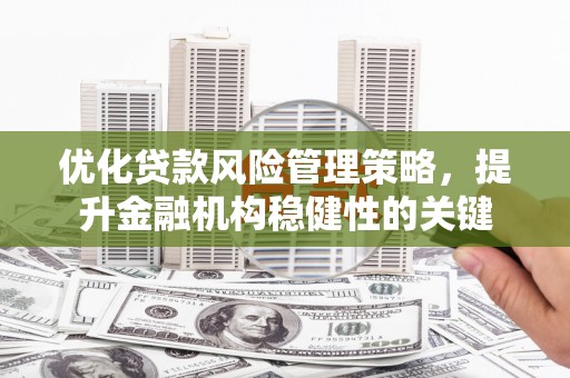 蕉城优化贷款风险管理策略，提升金融机构稳健性的关键