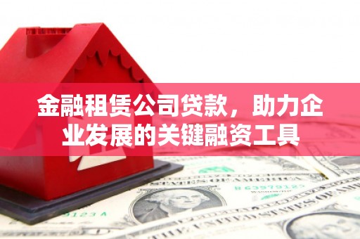 绥滨金融租赁公司贷款，助力企业发展的关键融资工具