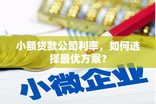 平舆小额贷款公司利率，如何选择最优方案？