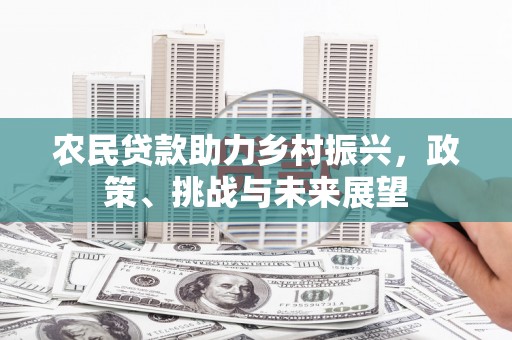 陇川农民贷款助力乡村振兴，政策、挑战与未来展望