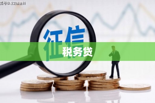 英德税务贷