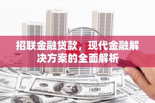盐津招联金融贷款，现代金融解决方案的全面解析
