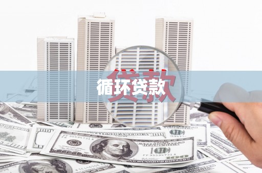 会宁循环贷款