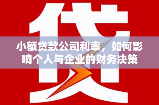 丰滨小额贷款公司利率，如何影响个人与企业的财务决策