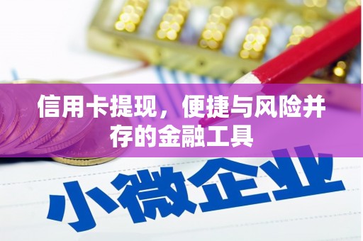 紫云信用卡提现，便捷与风险并存的金融工具