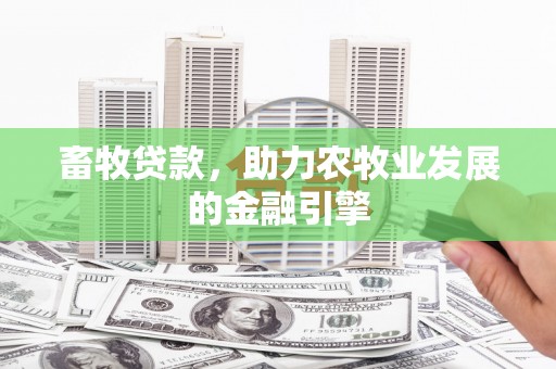 梅州畜牧贷款，助力农牧业发展的金融引擎