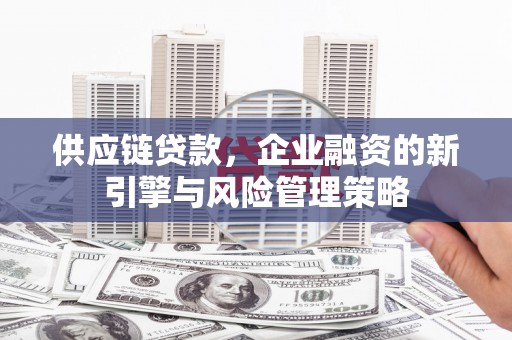 虎门供应链贷款，企业融资的新引擎与风险管理策略