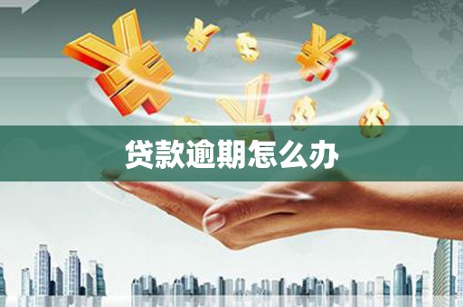 蚌埠贷款逾期怎么办