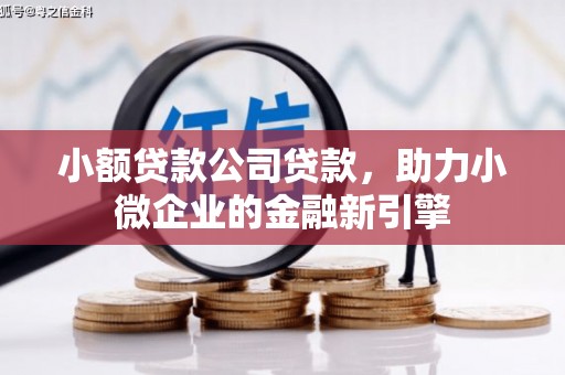 吉首小额贷款公司贷款，助力小微企业的金融新引擎