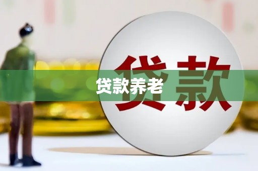 浑源贷款养老