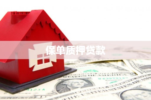 徐水保单质押贷款